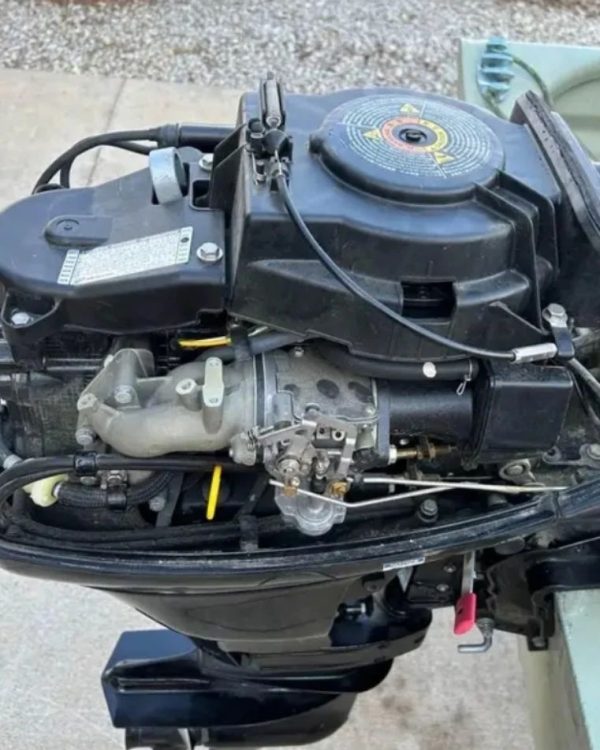 2020 Mercury 20 hp 4-Stroke Outboard Motor - Image 6