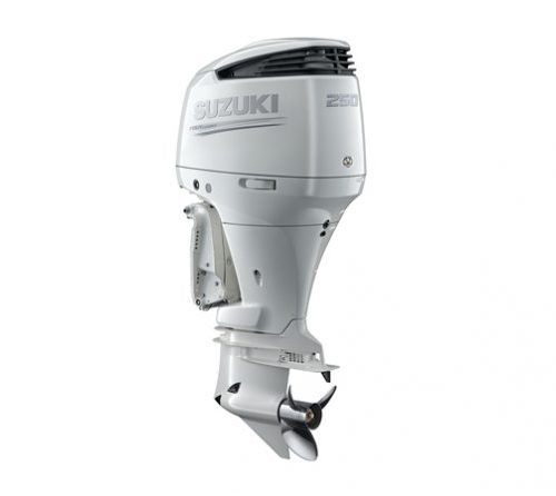 Suzuki 250 HP DF250APXW2