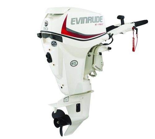 2018 Evinrude E-TEC 30 HP E30DTSL Outboard Motor