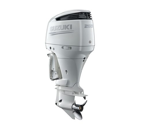2019 Suzuki 250 HP DF250APXW2