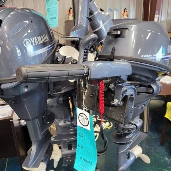 2016 Yamaha 20 hp 4-Stroke Tiller Outboard motor - Image 5