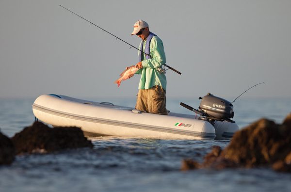 Yamaha 8HP | F8SMHB - Image 2