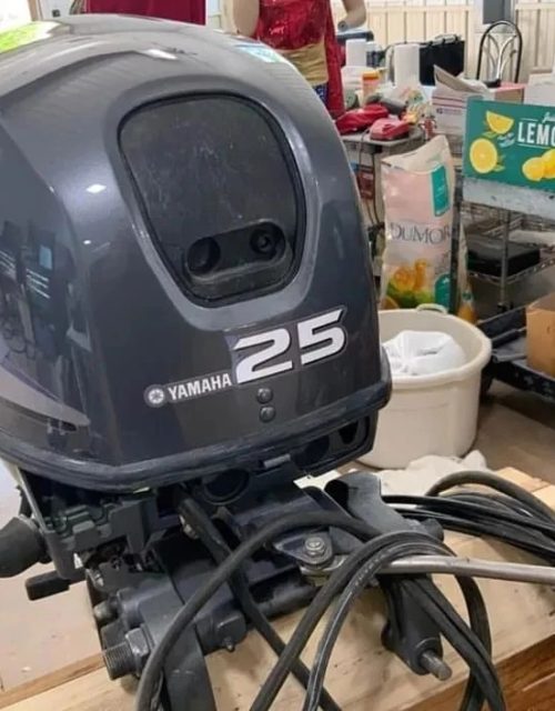 2020 Yamaha 25 hp 4-Stroke Outboard Motor