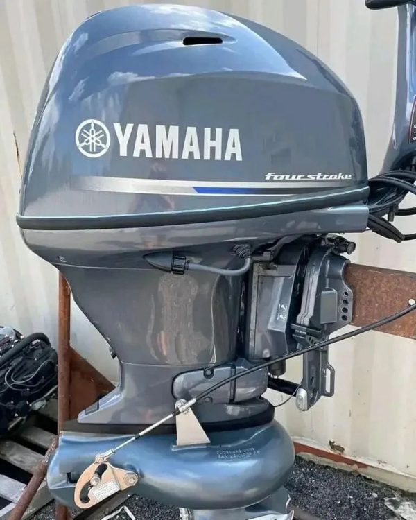 2019 Yamaha 30 hp 4-Stroke Jet Pump Tiller Outboard Motor - Image 2