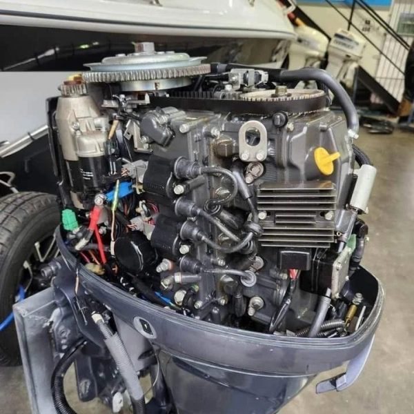 2016 Yamaha 20 hp 4-Stroke Tiller Outboard motor - Image 2